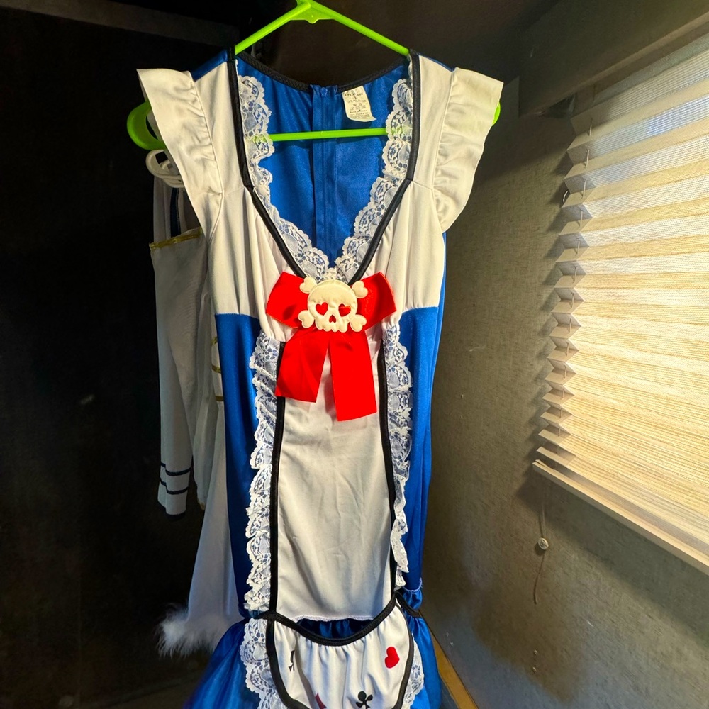 Halloween Costume Alice In Wonderland